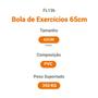 Imagem de Bola de Exercícios Yoga Pilates 65cm Suporta 350kg Hidrolight