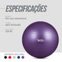 Imagem de Bola de Ginástica Gym Ball Inflável com Inflador 75cm - Roxo