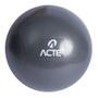 Imagem de Bola de Ginástica Overball Fitball Fisioterapia Pilates Exercícios 25cm - Acte Sports