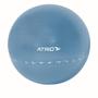 Imagem de Bola de Ginastica Premium 75 CM Diagrama de Exercicios Azul PVC Atrio - ES217