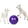 Imagem de Bola de Yoga para Cabras JWYINGIN Anti-Explosão - 43cm com Bomba