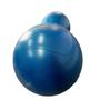 Imagem de Bola Feijão para Pilates e Fisioterapia Com Bomba Yangfit