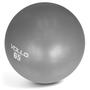 Imagem de Bola Ginástica  Gym Ball Vollo VP1035 65cm 300 Kg com Bomba