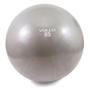 Imagem de Bola Gym Ball 65cm Cinza com Bomba Exercícios Fisioterapia Vollo