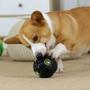 Imagem de Bola Interativa Porta Petisco Ração Para Cachorro Emite Som Brinquedo Pet Resistente 8cm
