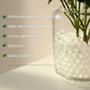 Imagem de Bolinhas Esferas de Hidrogel Hidratadas Plantas e Vasos