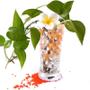Imagem de Bolinhas Gel Cresce na água Decoração Vasos p/ Plantas 7g Colorido Lindos