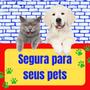 Imagem de Bolinhas para Cachorro Kit 100 Uni Brinquedo Pet Divertido