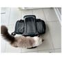 Imagem de Bolsa para Cachorro Gato Cao Pet Animal de Estimaçao Transporte Expansivel Pequeno Porte Viagem Carro Aviao Onibus Confortavel Seguro Passeio
