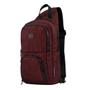 Imagem de Bolsa Transversal Wenger Lifestyle Vermelho