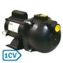 Imagem de Bomba Autoaspirante Multiuso 1CV Dancor Pratika AP-3C Monofásica 127/220V