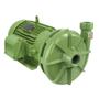 Imagem de Bomba Centrífuga Bc-22 R 1 1/4 10 Cv Monofásico Schneider