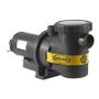 Imagem de Bomba jacuzzi 2b-mono 2cv t-plas