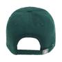 Imagem de Boné Palmeiras SuperCap Aba Curva Basic Oficial