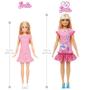 Imagem de Boneca Articulada Barbie Malibu Vestido Rosa Loira 34Cm Com Acessórios - My First Barbie - Mattel - HLL19