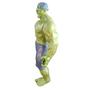 Imagem de Boneco Action Figure Vingadores O Incrivel Hulk Marvel Nº4