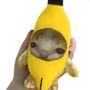 Imagem de Boneco de Pelucia Banana Cat Feliz 17cm