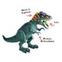 Imagem de Boneco Dinossauro Tiranossauro Rex com Som E Luz DM Toys