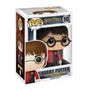 Imagem de Boneco Funko Pop Harry Potter 10 Colecionável