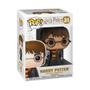 Imagem de Boneco Funko Pop Harry Potter - Harry Potter With Hedwig