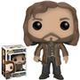 Imagem de Boneco Funko Pop Harry Potter Sirius Black 16