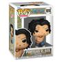 Imagem de Boneco Funko Pop One Piece Portgas Ace Execution 1818