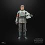 Imagem de Boneco Star Wars The Black Series - Figura de 15 cm - Din Djarin - F5525 - Hasbro