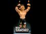 Imagem de Boneco UFC Diego Sanchez Ultimate Collector