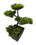 Imagem de Bonsai Artificial Mini Árvore de Mesa Vaso Café - Decoração Japão