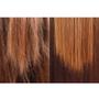 Imagem de Borabella Cauter Gloss 500ml + Argan 60ml + Pratudo 300g
