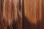 Imagem de Borabella Óleo de Argan e Macadamia 7ml - Kit 2 unidades Borabella True Profissional