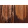 Imagem de Borabella Selagem 3D 90ml + Óleo Argan 7ml + Sachês