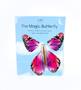 Imagem de Borboleta mágica voadora - The Magic Butterfly