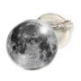 Imagem de Boton Lua Cheia