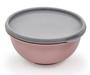 Imagem de Bowl Com Tampa 800 Ml Alimentos Usual Utilidades Ref 665