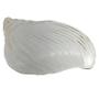 Imagem de Bowl De Vidro Concha Com Borda Dourada 21 cm