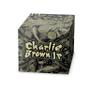 Imagem de Box 10 CDs Charlie Brown Jr - CBJR10 - Deluxe