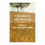 Imagem de Box com 6 Livros de Charles Spurgeon  Brochura