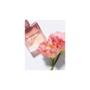 Imagem de Braé Blooming Rose - Perfume para Cabelo 50ml