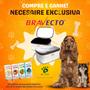 Imagem de BRAVECTO 500mg para Cães 10-20KG  Anti Pulgas e Carrapatos 