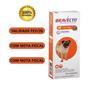 Bravecto Antipulga E Carrapato De 4,5kg - 10kg 250mg Cão Imagem de Bravecto Antipulga E Carrapato De 4,5kg - 10kg 250mg Cão