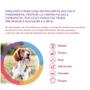 Imagem de Bravecto Antipulgas e Carrapatos para Cães de 2 a 4,5 Kg 1 Comprimido Mastigável 112,5 mg