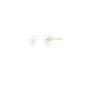 Imagem de Brinco Banhado a Ouro Liso com Perola Shell 8mm