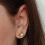 Imagem de Brinco Ear Cuff Flor 5 e Ponto de Luz Cristal