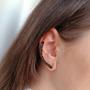 Imagem de Brinco Ear Cuff Linha Dupla Cravejada e Ponto de Luz Preto