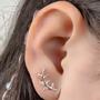 Imagem de Brinco Ear Cuff Raminho Banhado a Prata 925