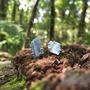 Imagem de Brincos de tarraxa prata 925 com Cristal Natural. Pedra Cianita Azul