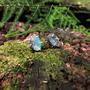 Imagem de Brincos de tarraxa prata 925 com Cristal Natural. Pedra Esmeralda