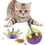 Imagem de Brinquedo Alimentador Shanking Q Pet Cães E Gatos Interativo