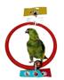 Imagem de Brinquedo aves  argola  papagaio